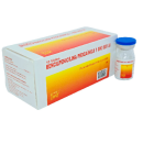 Bencil Procain 1 000 Ui X 10 Viales