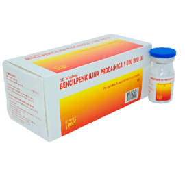 Bencil Procain 1 000 Ui X 10 Viales